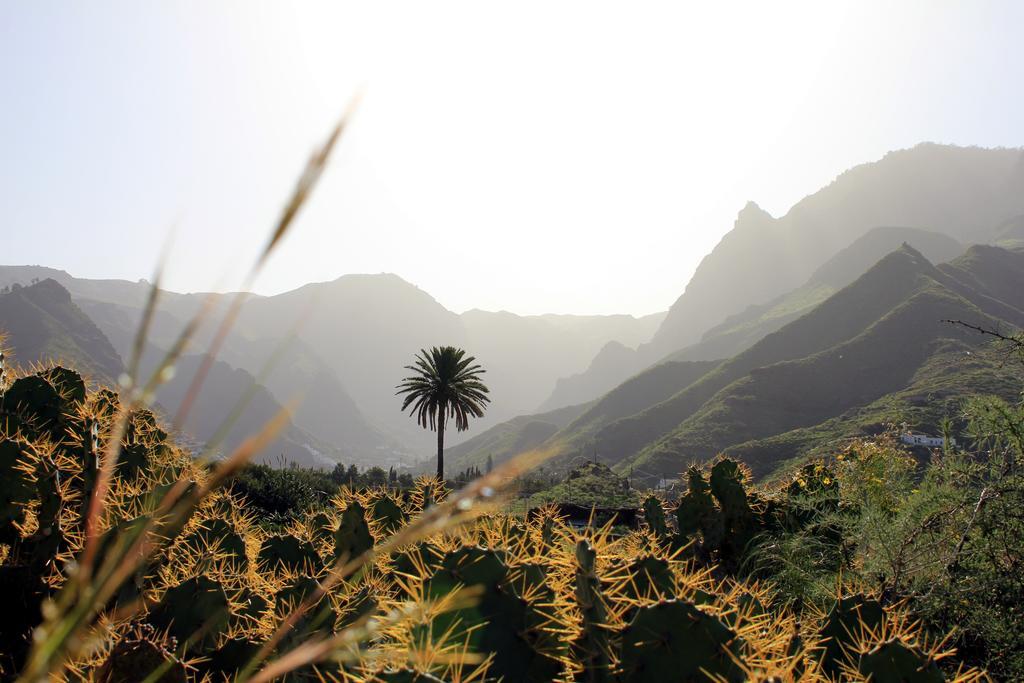 La Papaya - Eco - Yoga - Hiking - Hostel 阿格特 外观 照片