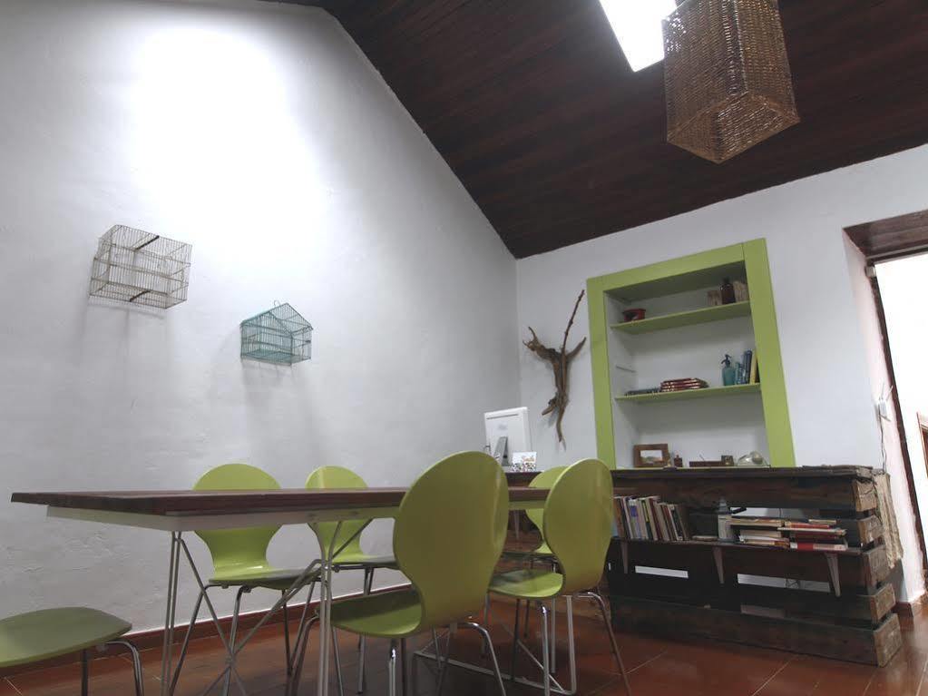 La Papaya - Eco - Yoga - Hiking - Hostel 阿格特 外观 照片
