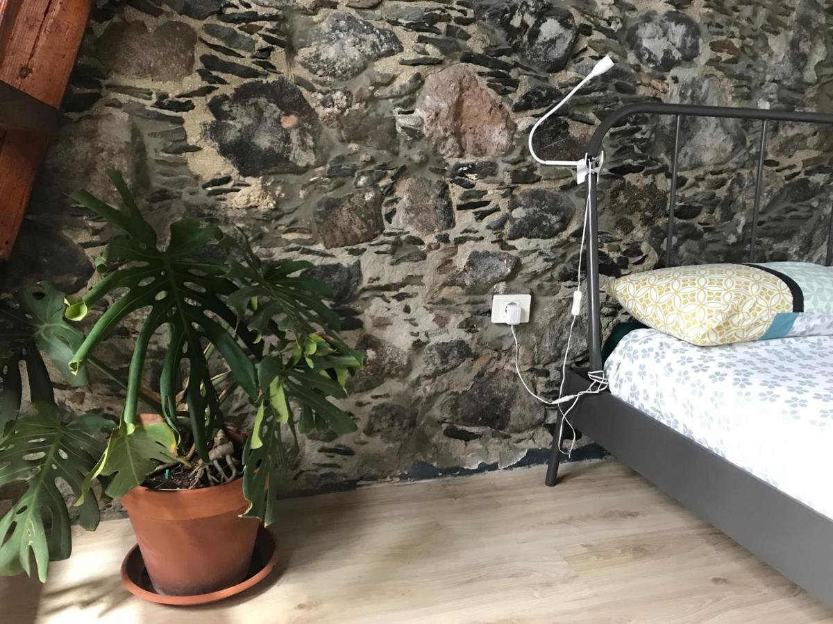 La Papaya - Eco - Yoga - Hiking - Hostel 阿格特 外观 照片